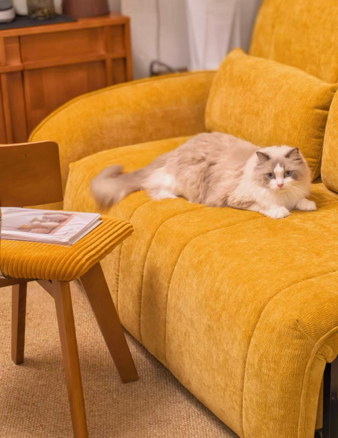 Reila Electric Extendable Sofa Bed