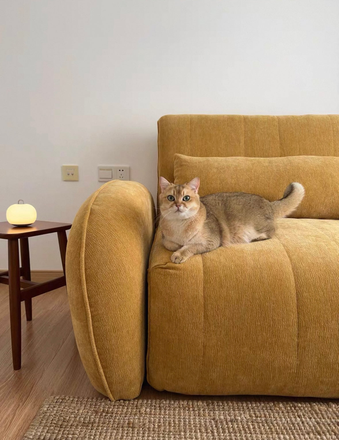 Reila Electric Extendable Sofa Bed