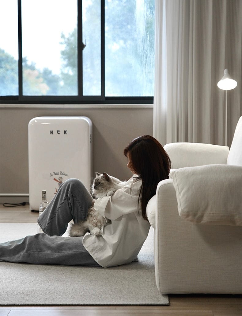 Home Atelier Aden Foldable Sofa Bed with Mattress