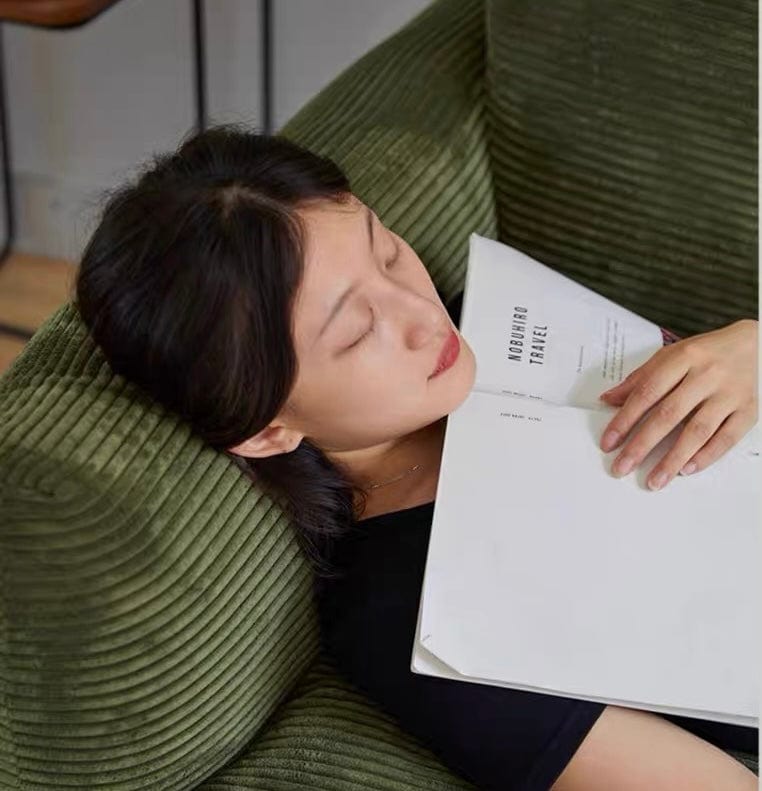 Home Atelier Artemis Foldable Sofa Bed with Mattress