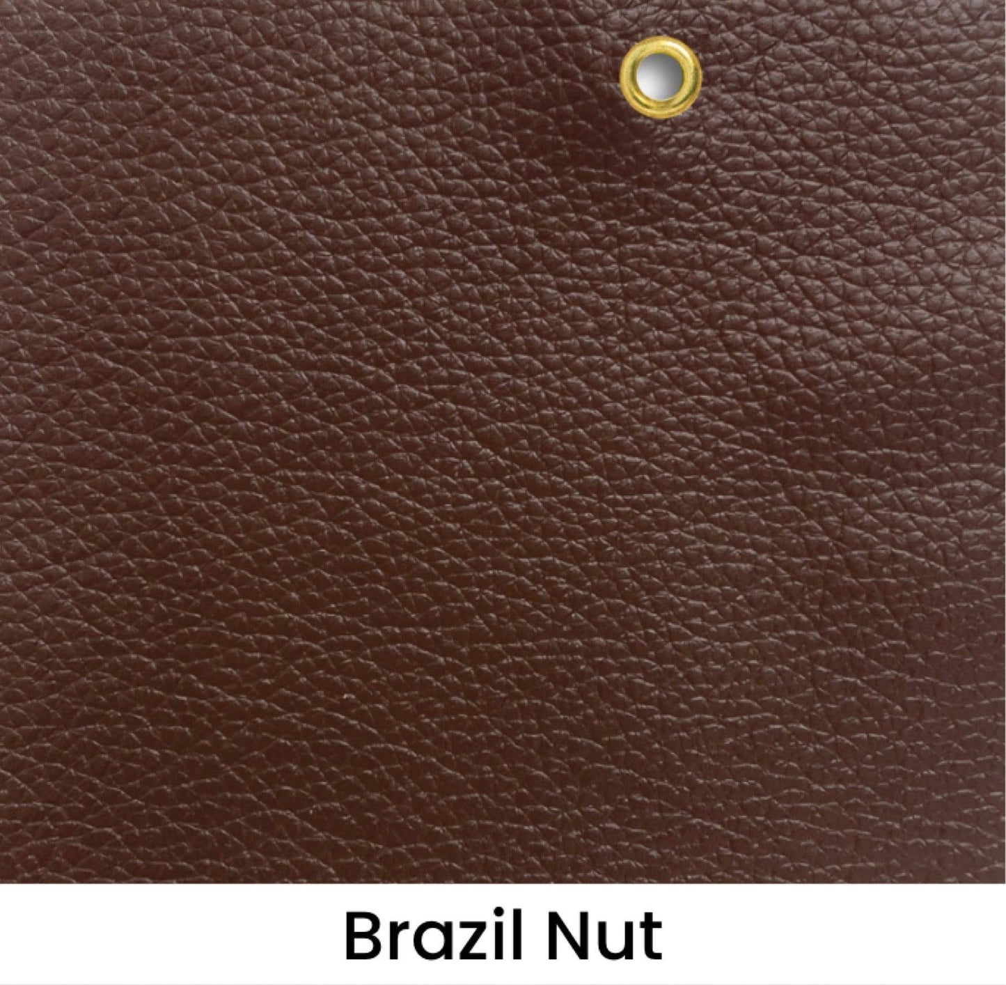 home-atelier-f31a Brazil Nut All Grain