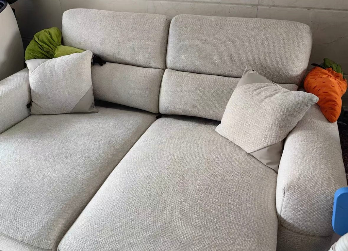 Home Atelier Irina Scratch Resistant Electric Sofa Bed