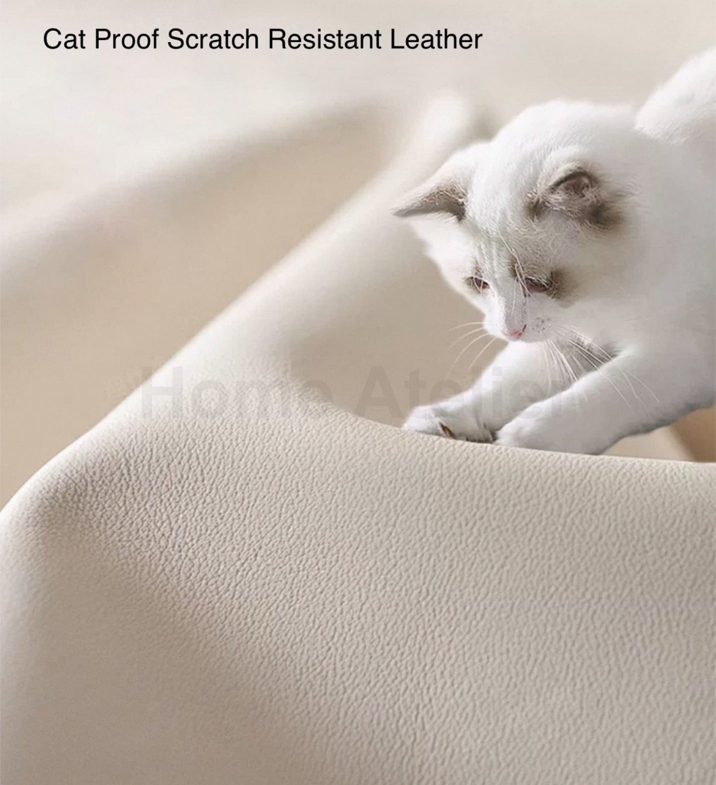 Home Atelier Rikan Leather Electric Sofa Bed
