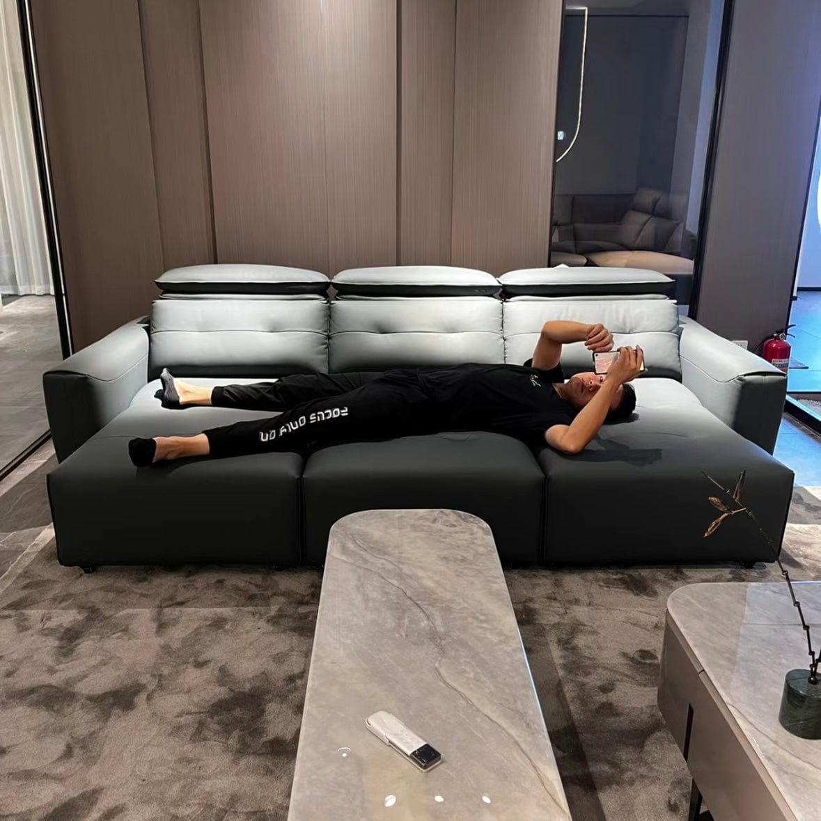 Home Atelier Roch Electric Motorized Leather Sofa Bed