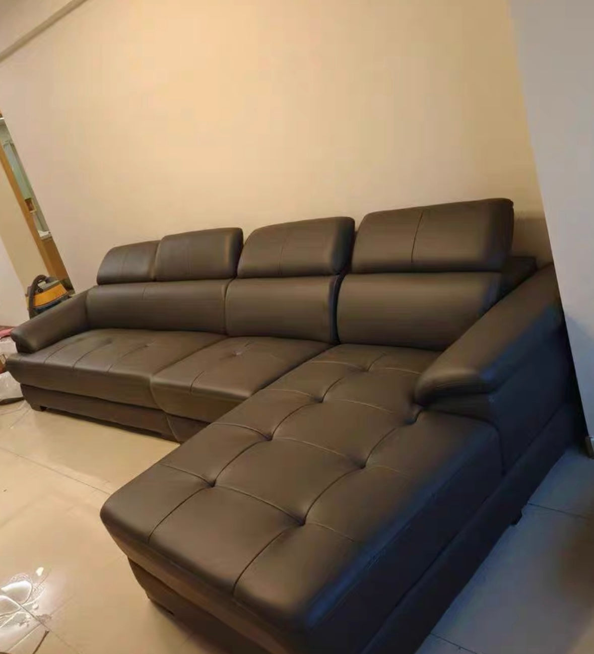 Ricardo Sectional Genuine Leather Sofa