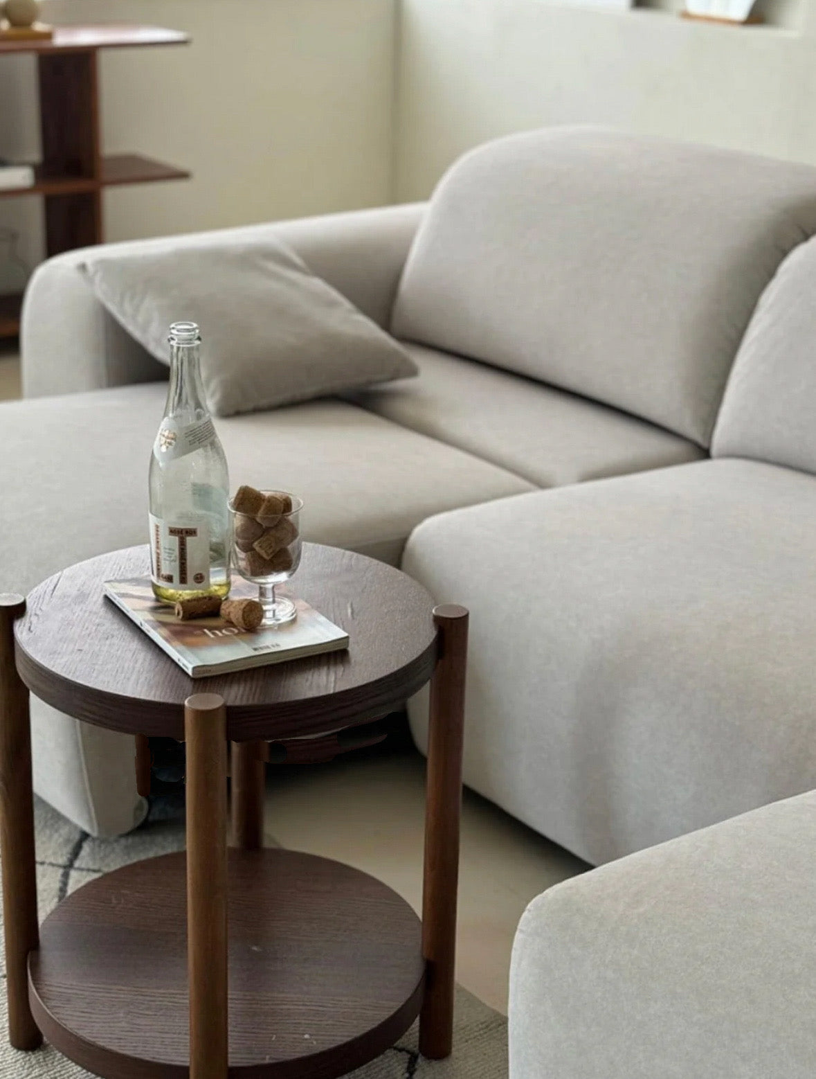 Rumi Scratch Resistant Electric Motorized Sofa Bed