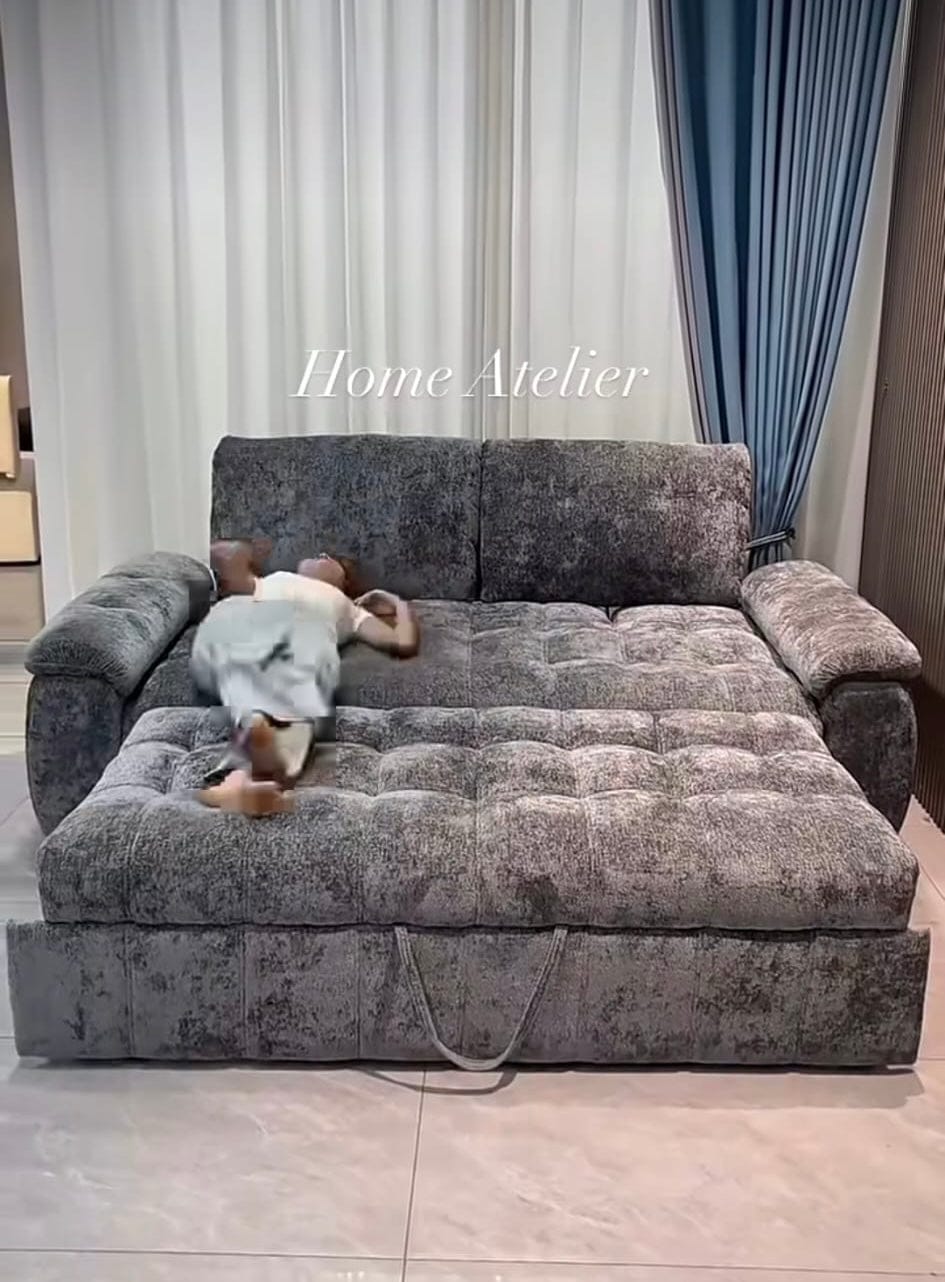 Home Atelier Qiara Scratch Resistant Sofa Bed