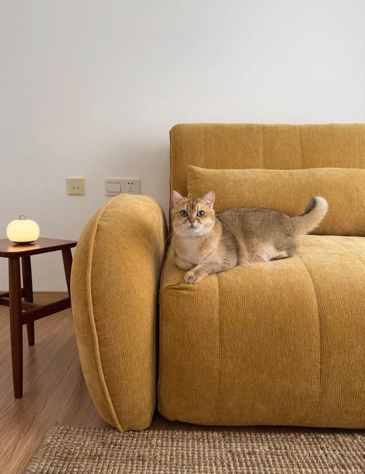 Home Atelier Reila Electric Extendable Sofa Bed