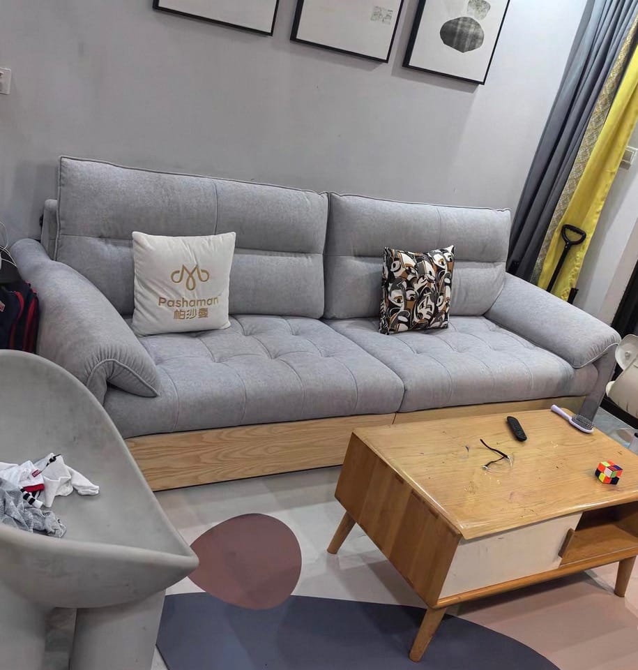 Home Atelier sofa bed Anise Scratch Resistant Storage Sofa
