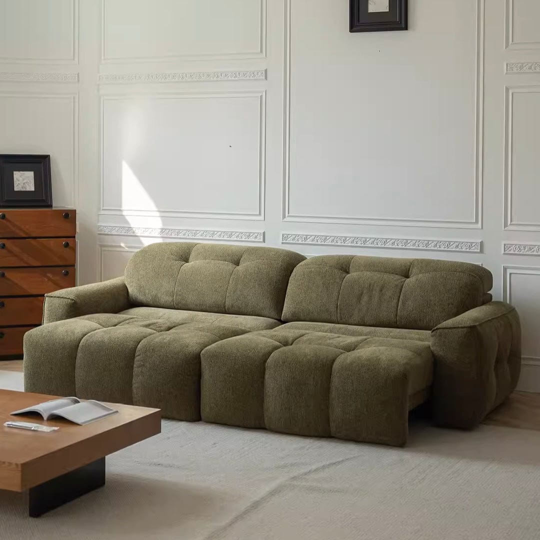 Home Atelier Zaika Scratch Resistant Electric Extendable Sofa Bed
